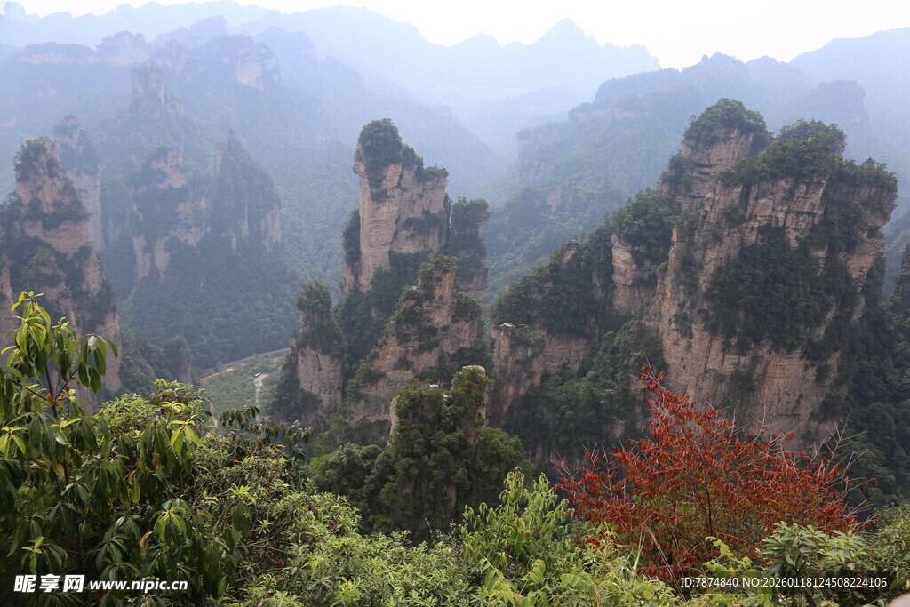 张家界奇峰美景