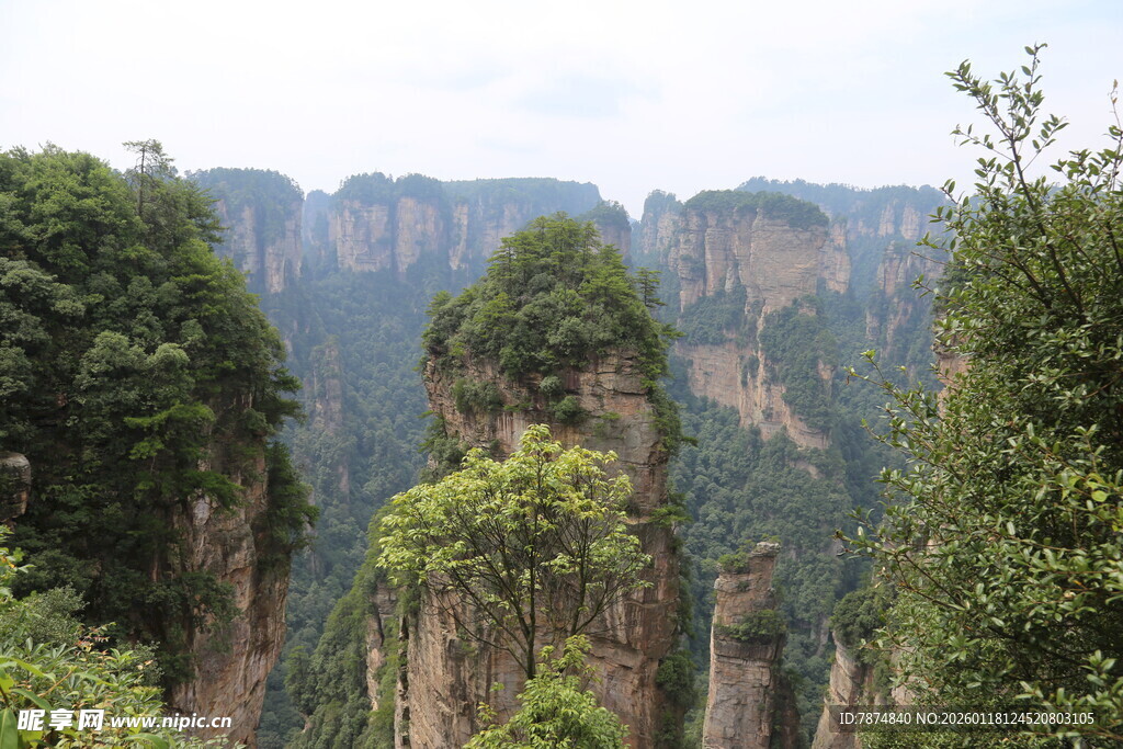 张家界奇峰美景