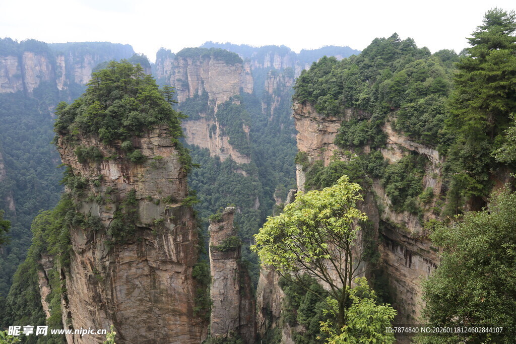 张家界奇峰异石景观