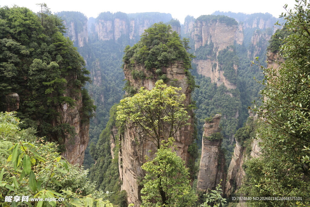 张家界奇峰异景