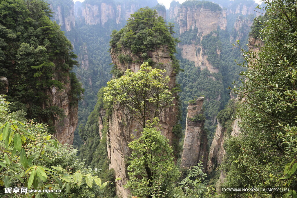 张家界奇峰异石景观