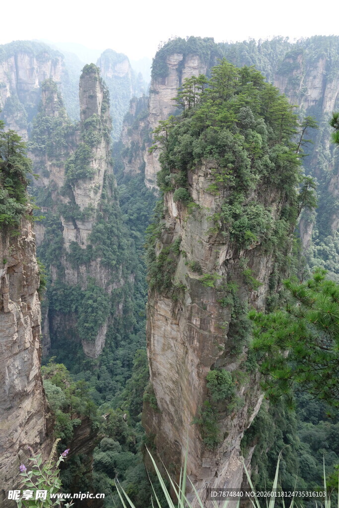 张家界奇峰异石景观