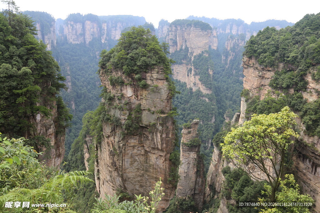 张家界奇峰美景
