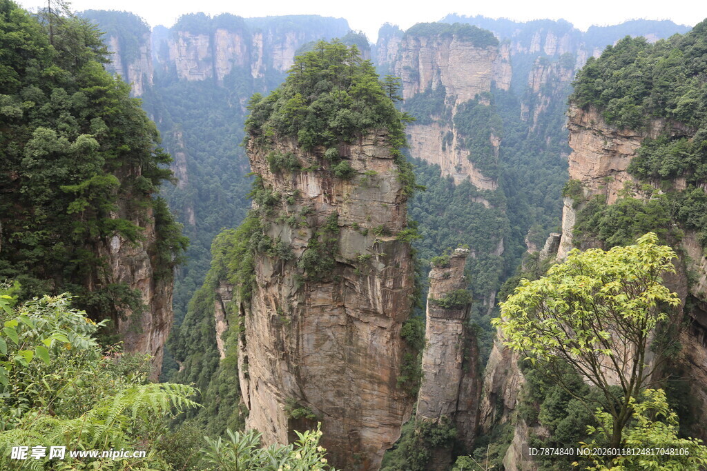 张家界奇峰美景