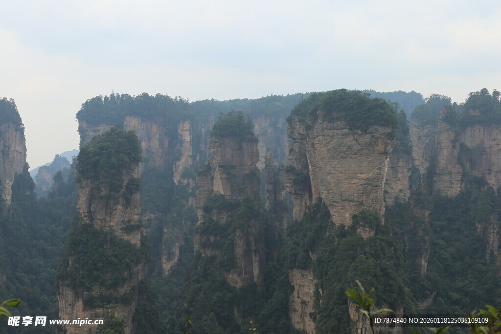张家界奇峰美景