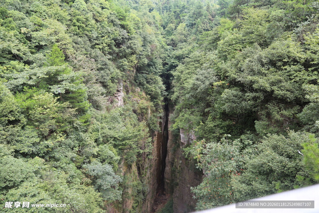 峡谷绿意盎然的自然景观