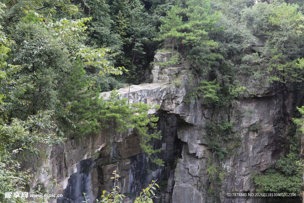 山间石桥隐于葱郁林木间