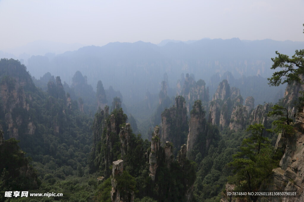 张家界奇峰美景