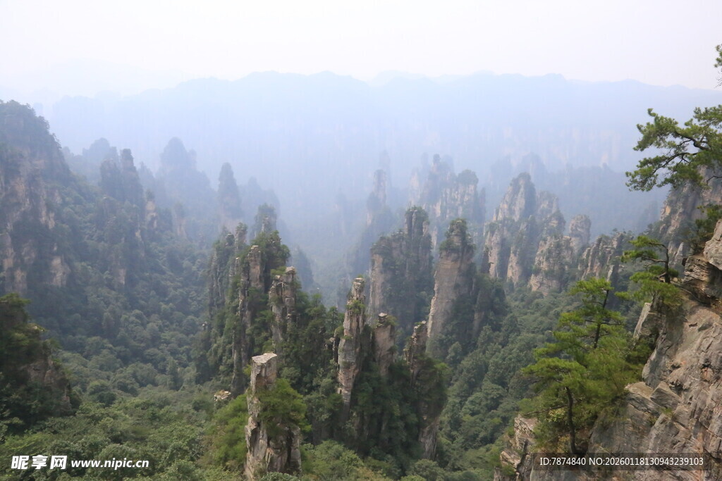 张家界奇峰美景