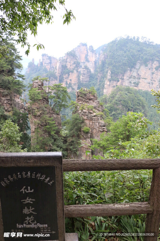 张家界奇峰美景