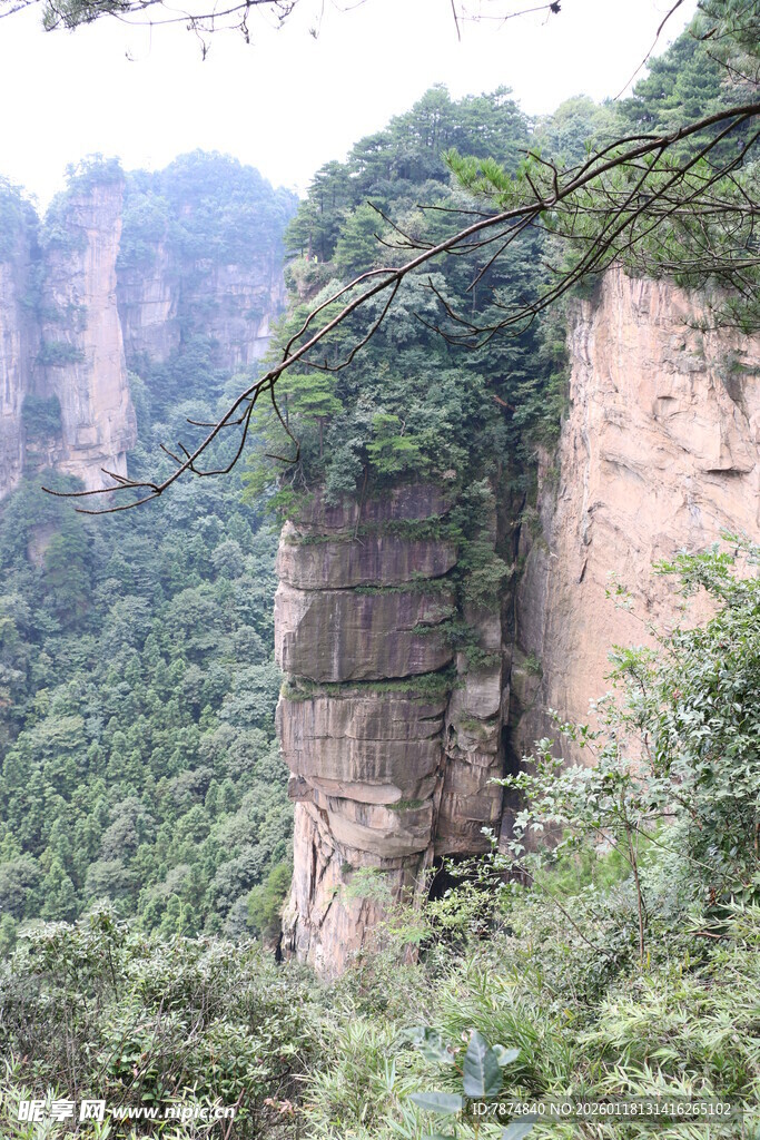 奇峰耸翠的山林景观