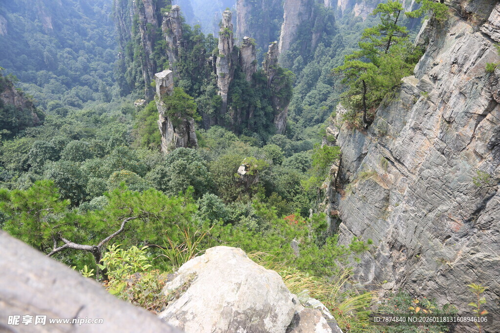 张家界奇峰异林景观