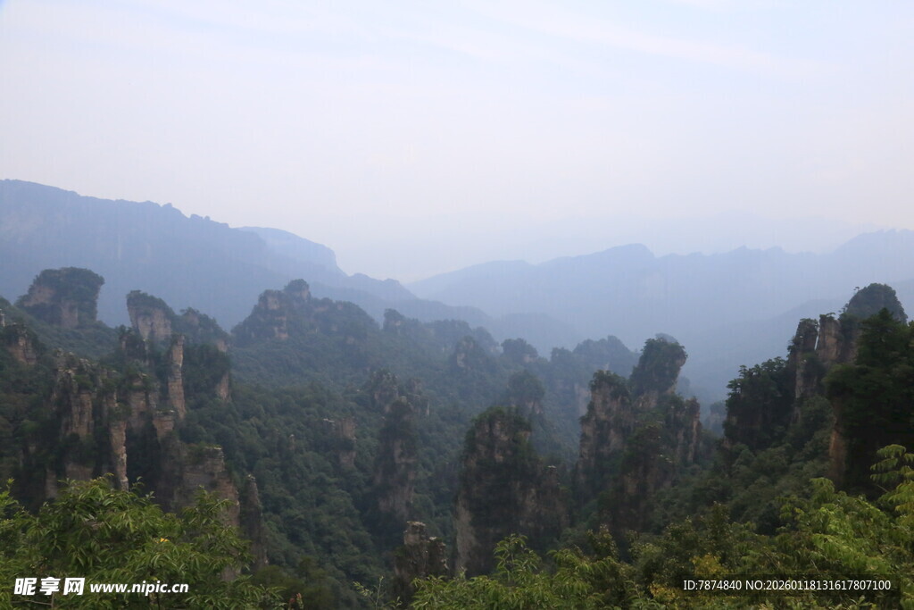 山林景观 绿意盎然的自然