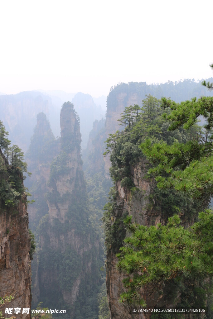 张家界奇峰异景