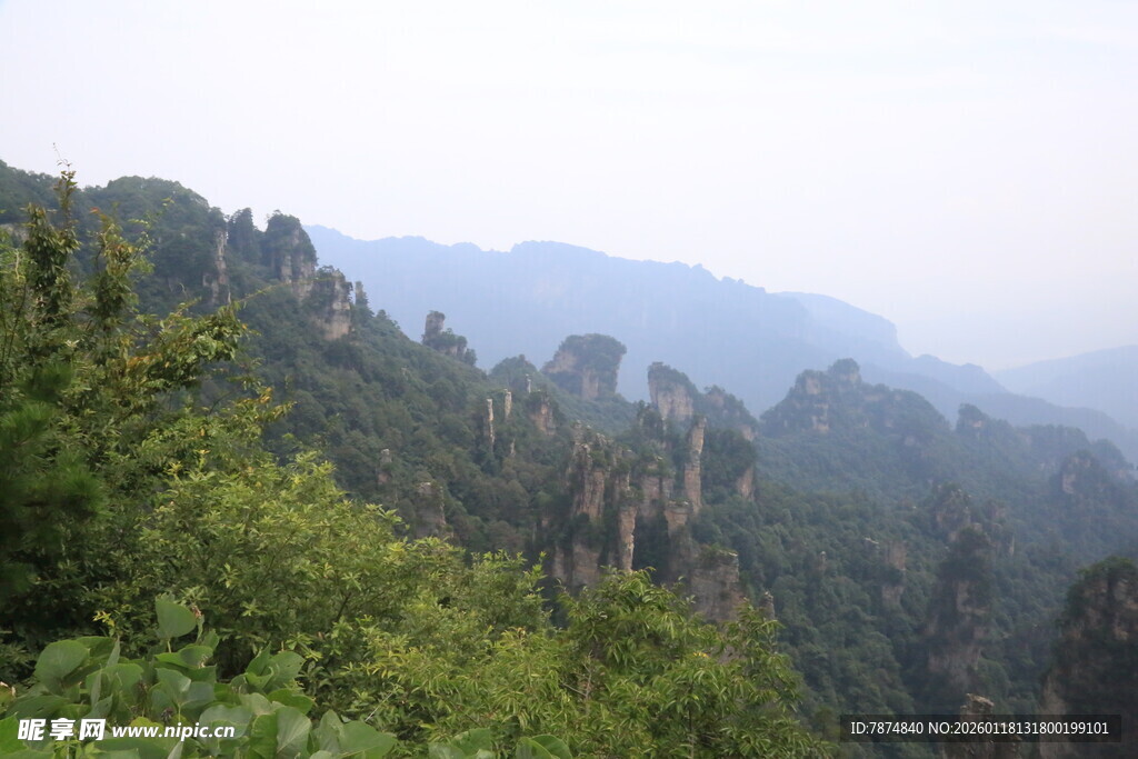 张家界奇峰秀林景观