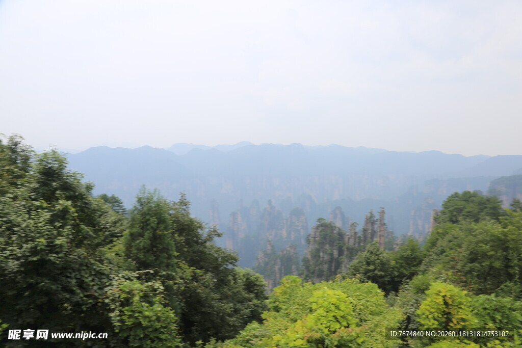 山林葱郁的自然景致