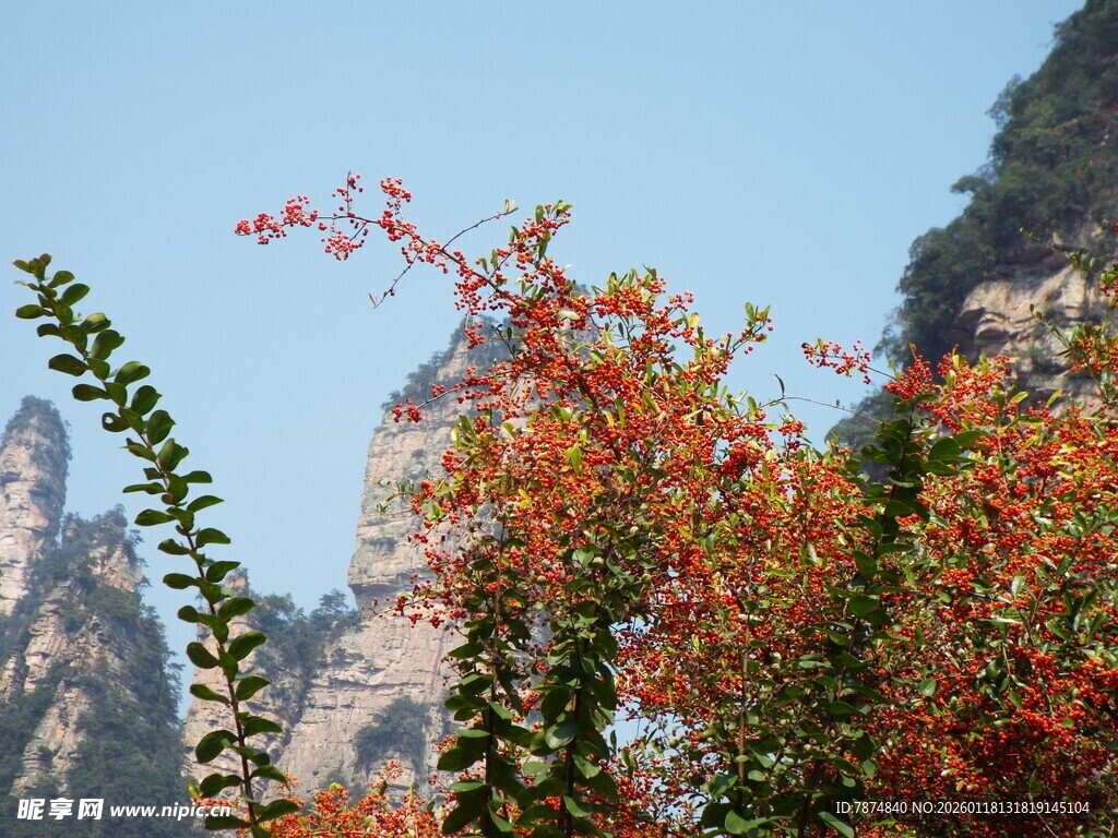 山间绚烂红叶与奇峰