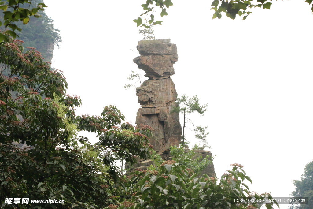 山林中的奇特石雕