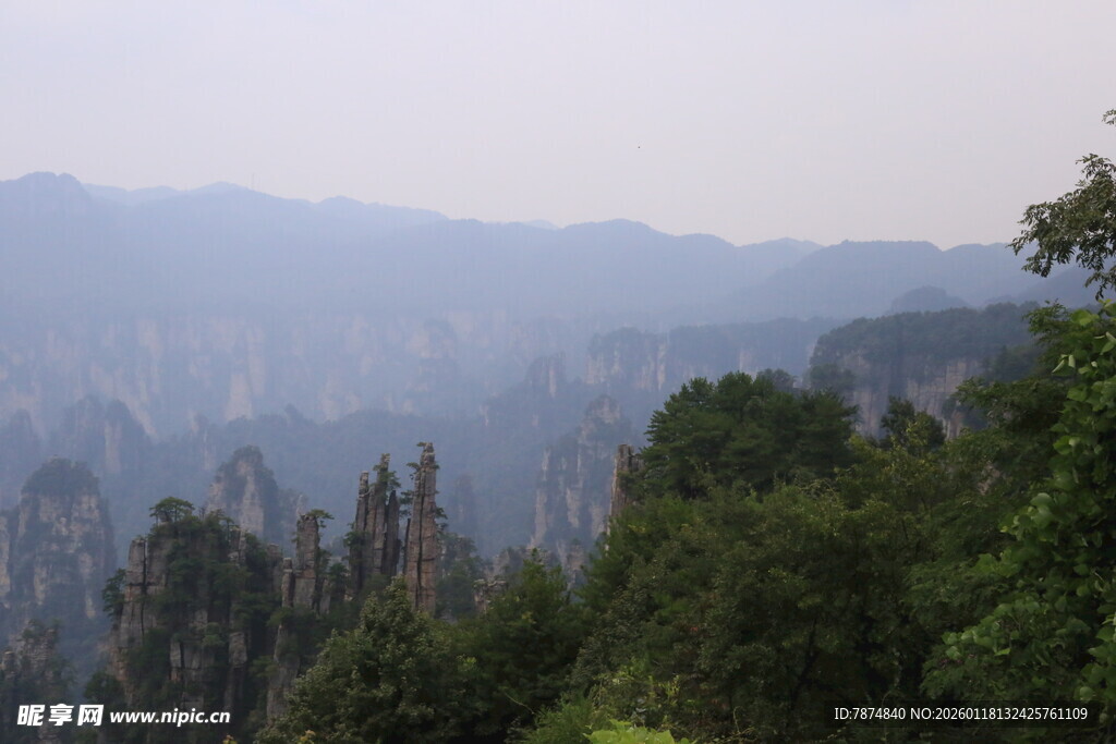 张家界奇峰异林美景