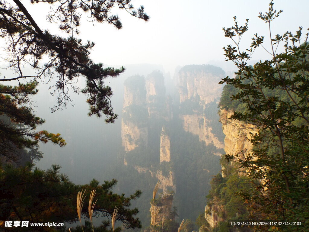 张家界奇峰美景