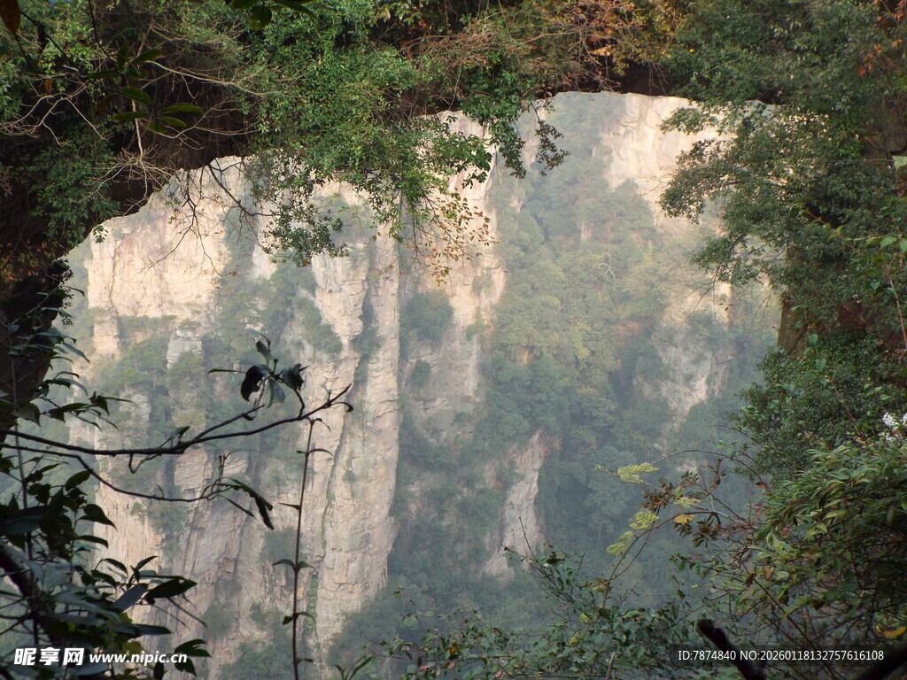 山间峭壁与繁茂植被景象