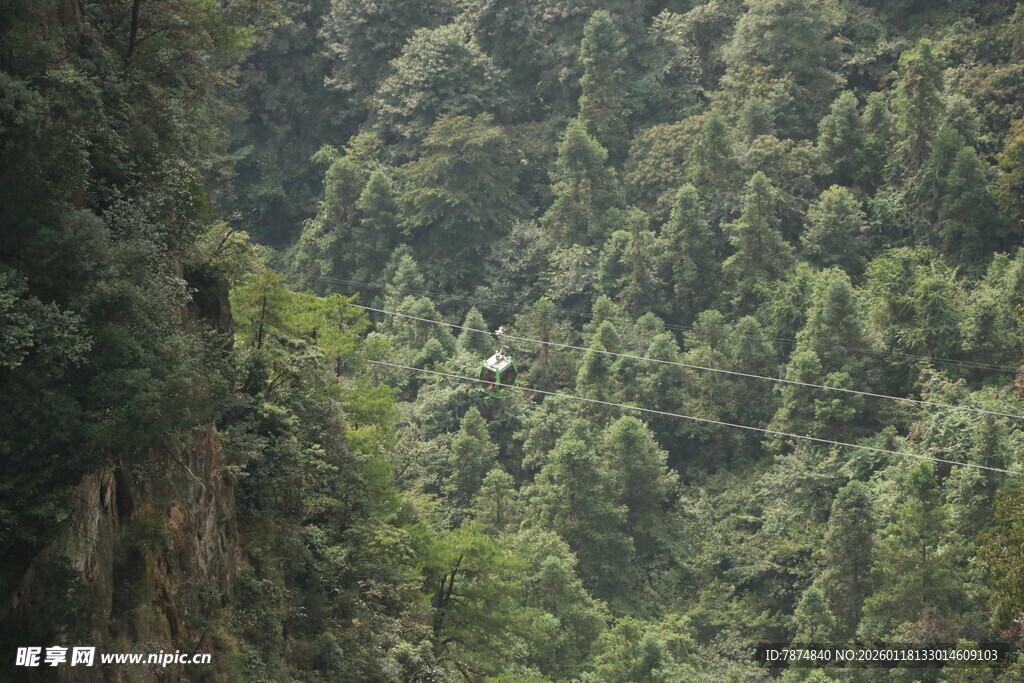 茂密山林绿意盎然
