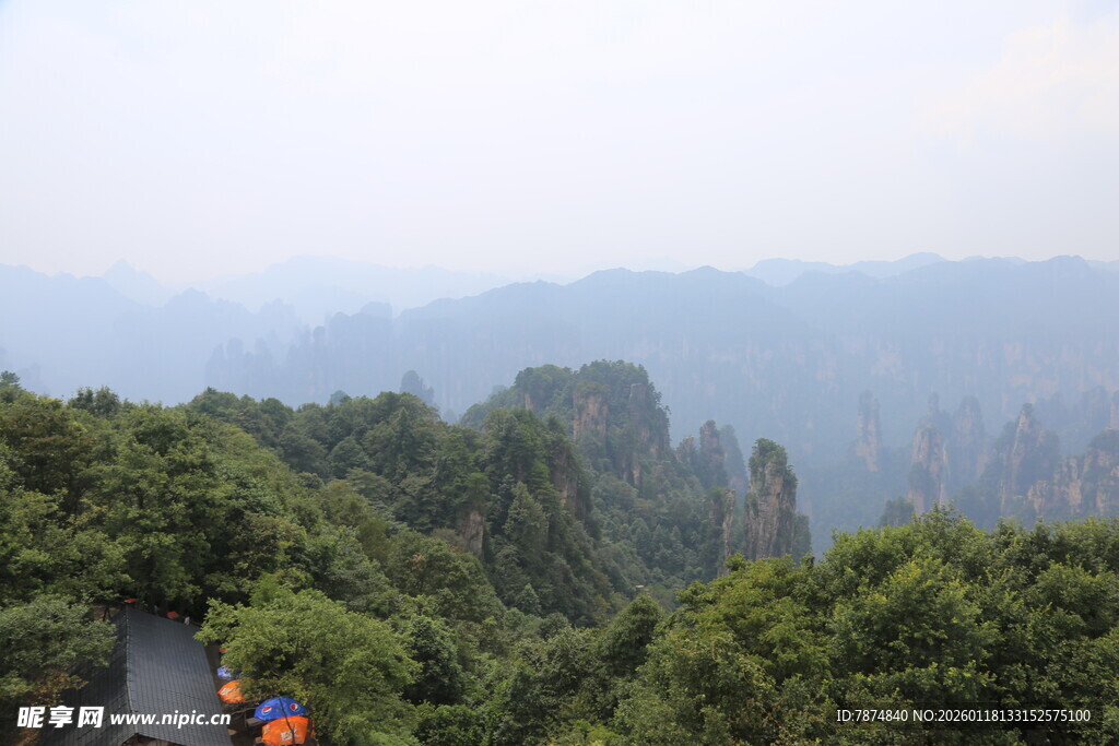 山间公路穿行于葱郁山林
