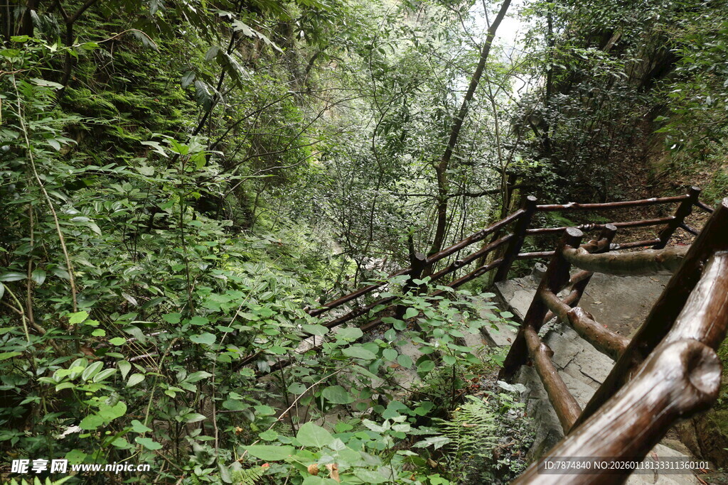 山林间的木质栈道景观