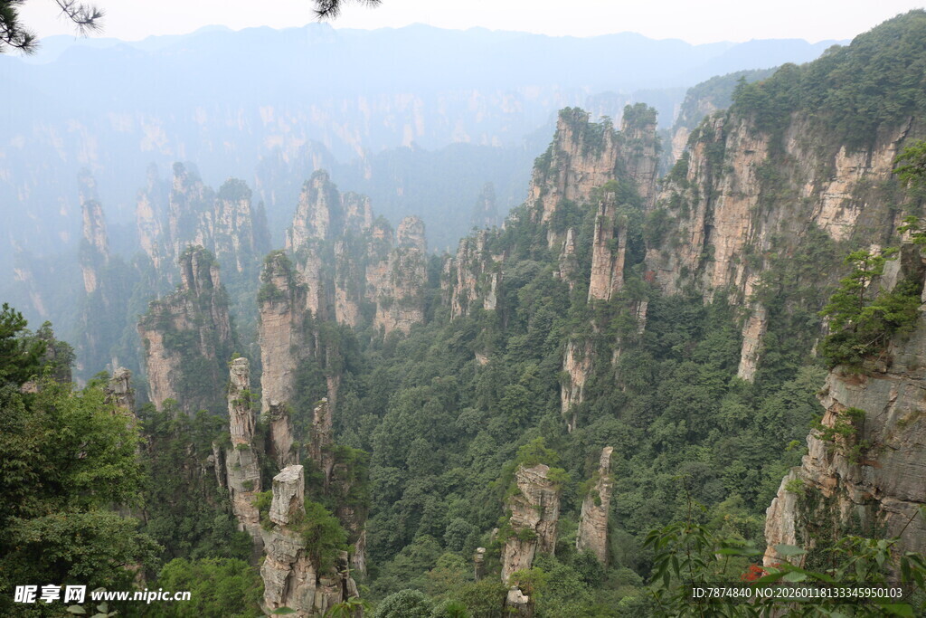 张家界奇峰美景