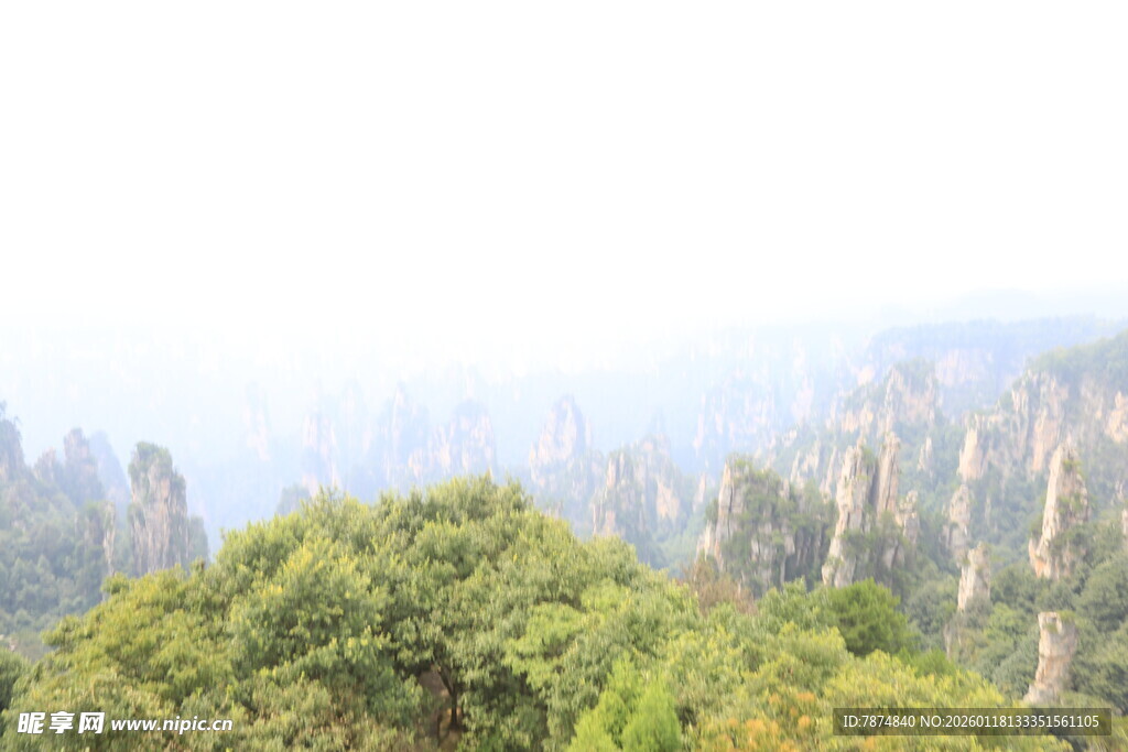 张家界奇峰绿树美景