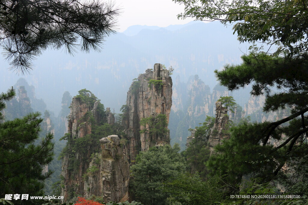 张家界奇峰美景