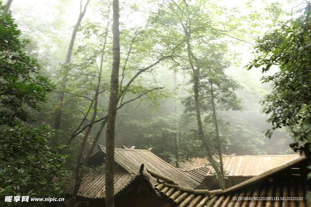 林间古建 隐于薄雾之中