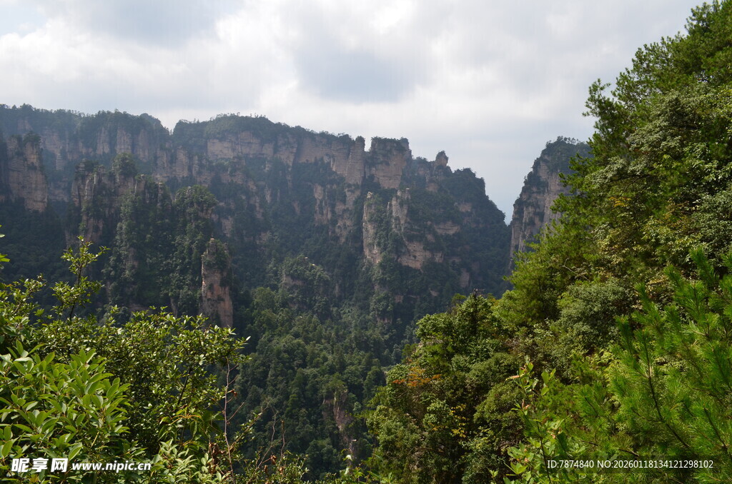 壮丽山峦与葱郁植被景观