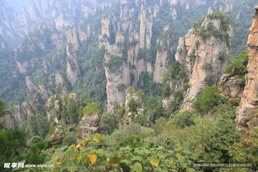 张家界奇峰美景