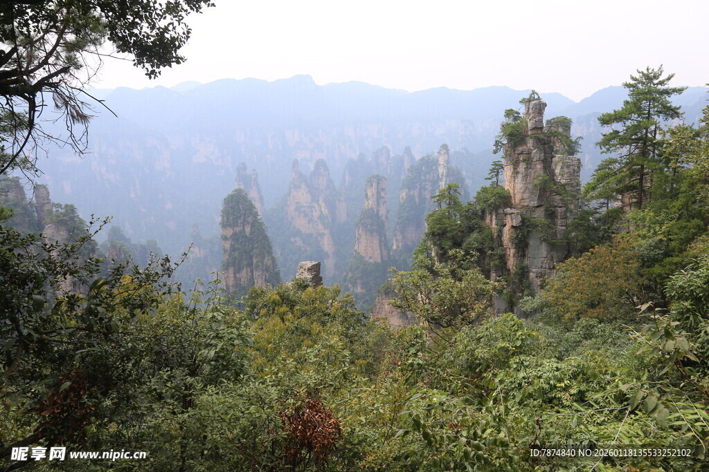 张家界奇峰异景