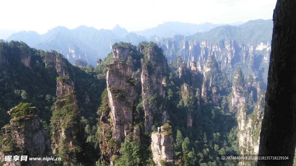张家界奇峰美景