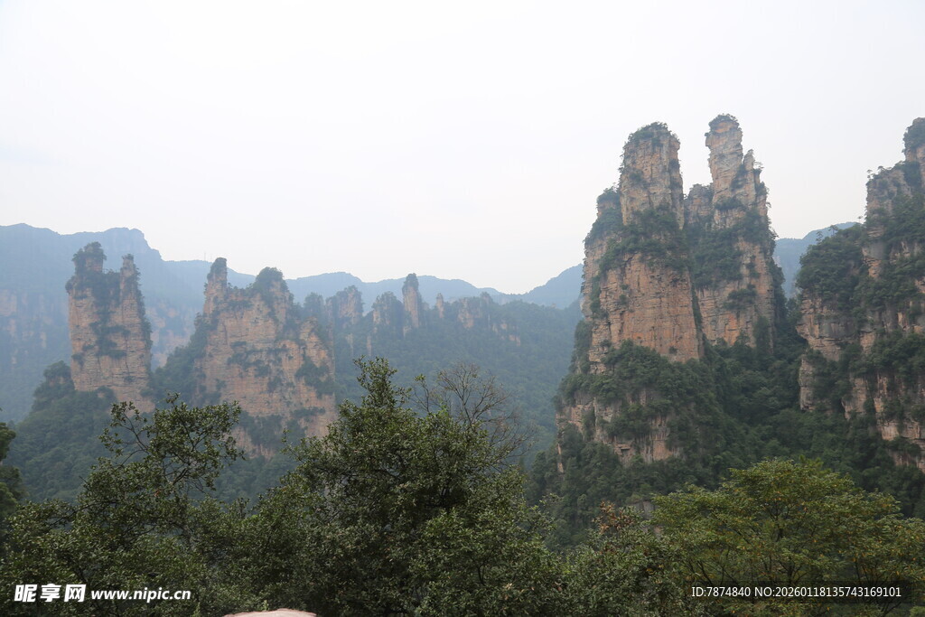 张家界奇峰美景