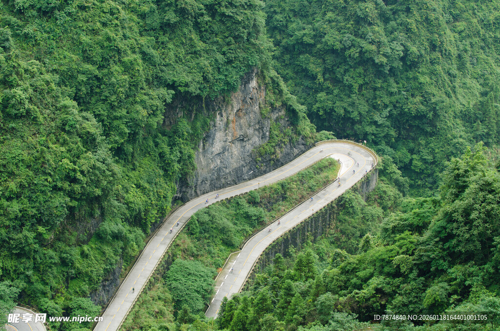 山间蜿蜒公路穿行于绿意中