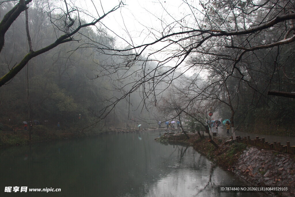 雾中河畔萧瑟冬日景象