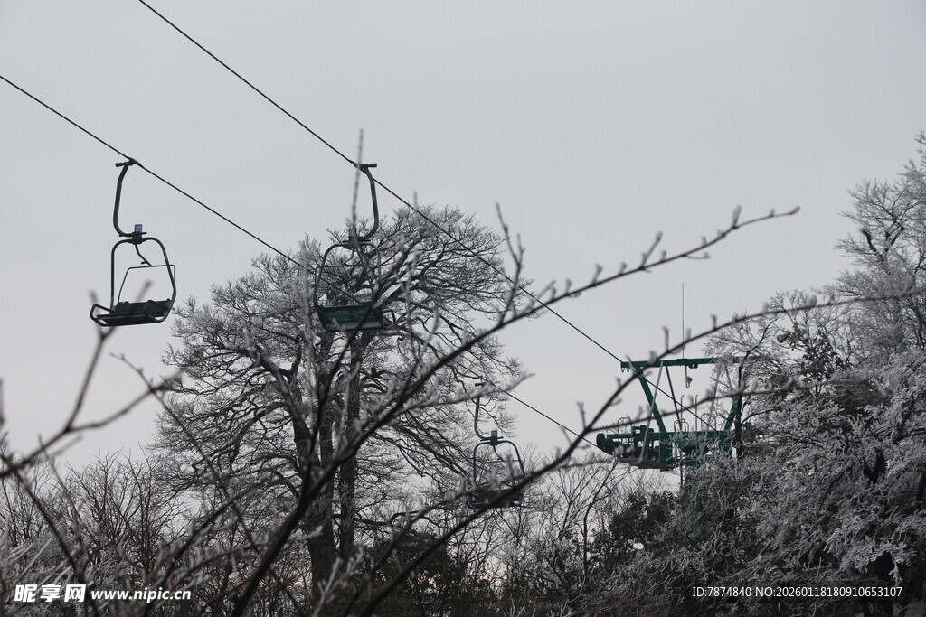山间缆车穿梭于树木间