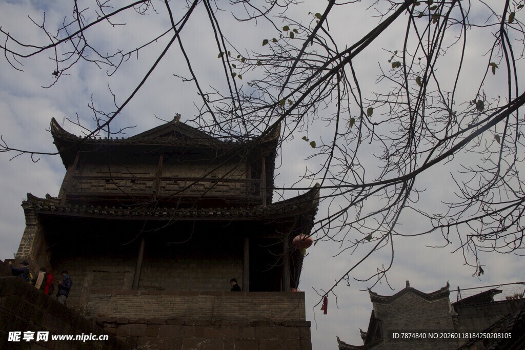 古建楼阁 枝桠相伴