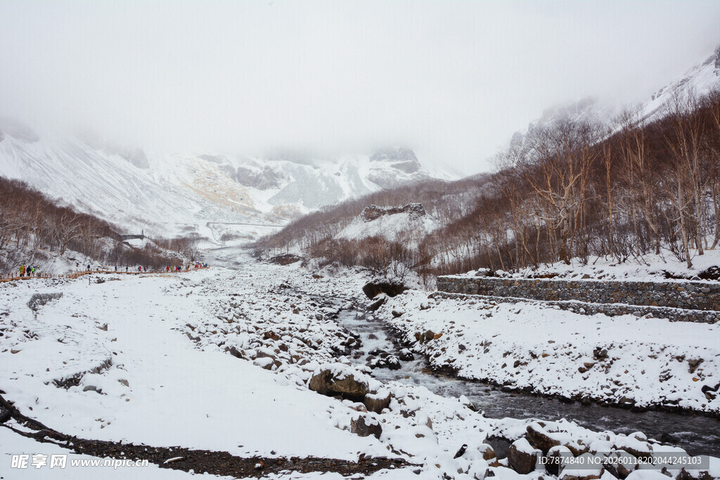 冬日雪景中的蜿蜒溪流