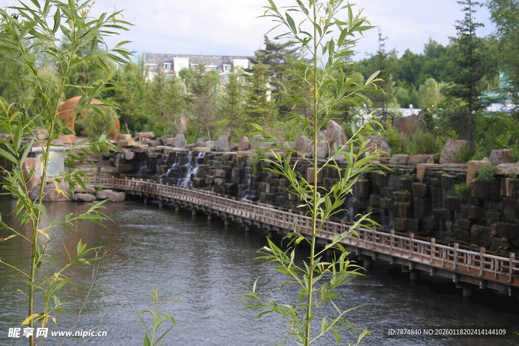 河畔木桥与繁茂绿植景观