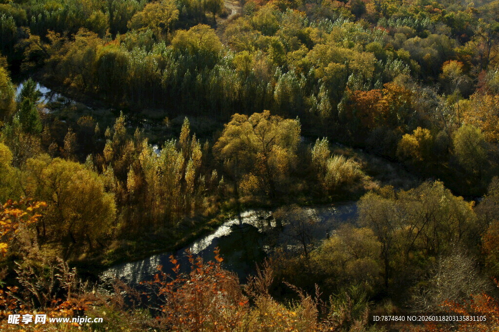 秋日山林中的蜿蜒河流