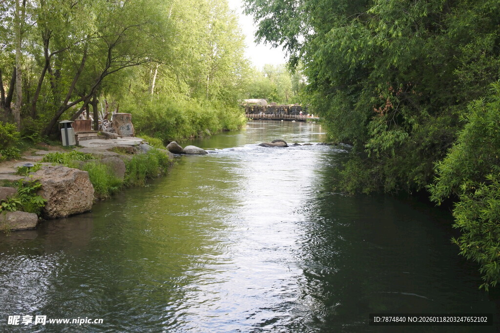 河畔绿树环绕的清幽溪流