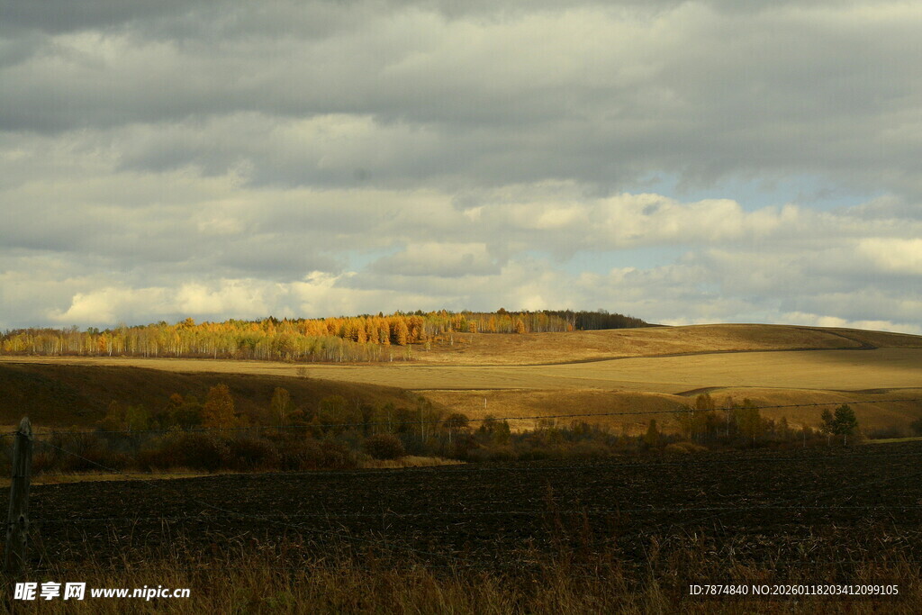 秋日旷野风光