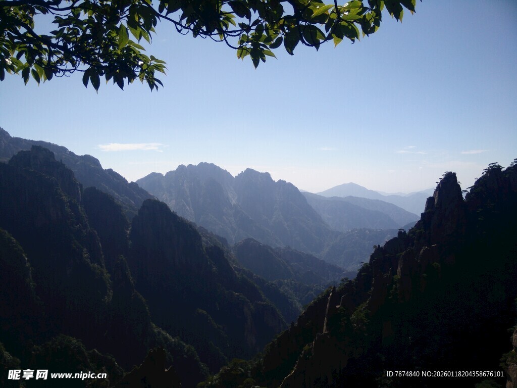 壮丽山景 山峦与枝叶之美