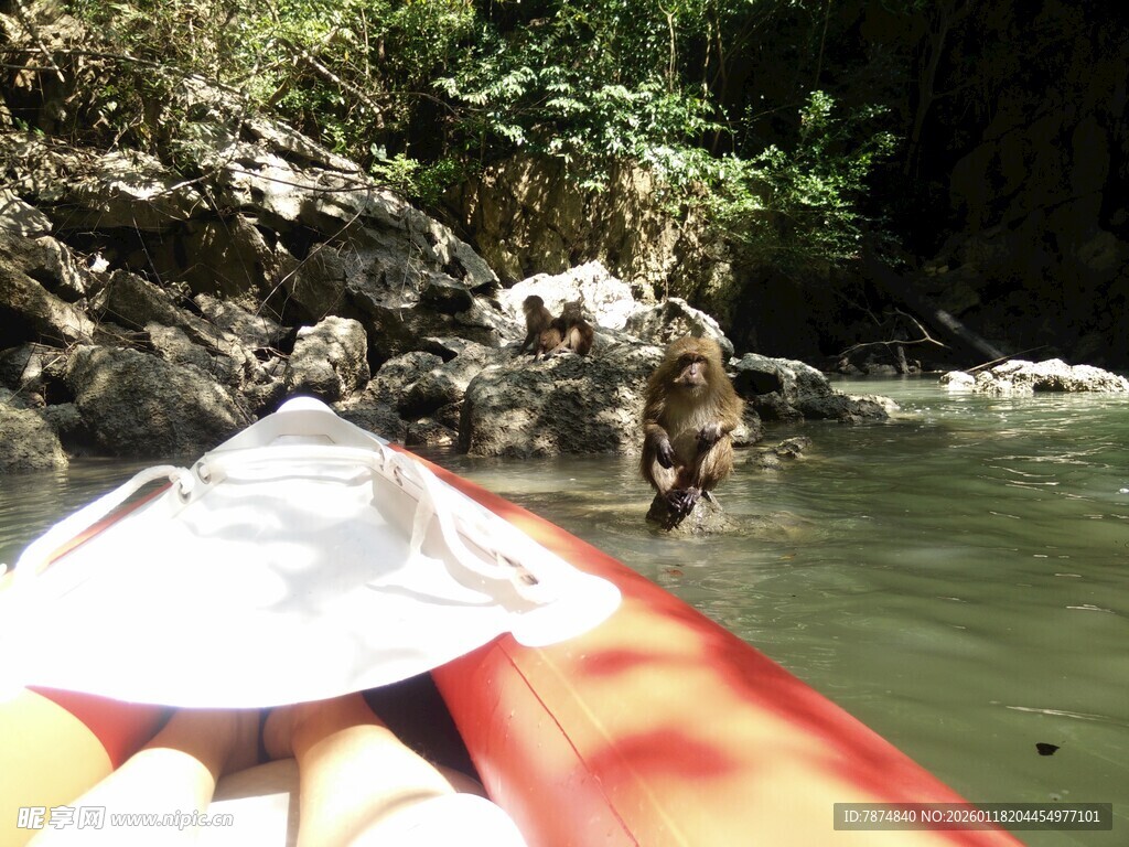 皮划艇上视角的河岸风光