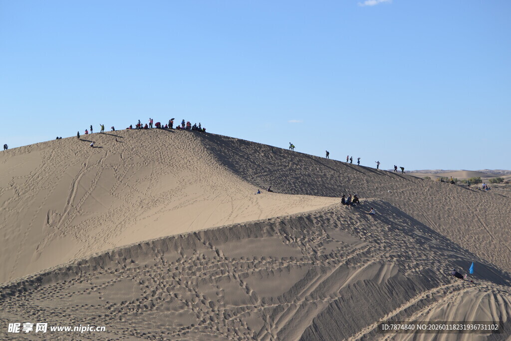 沙漠沙丘上的车辙痕迹