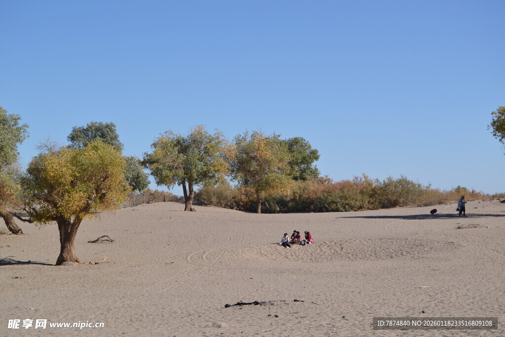 沙漠中的树木与休闲人群